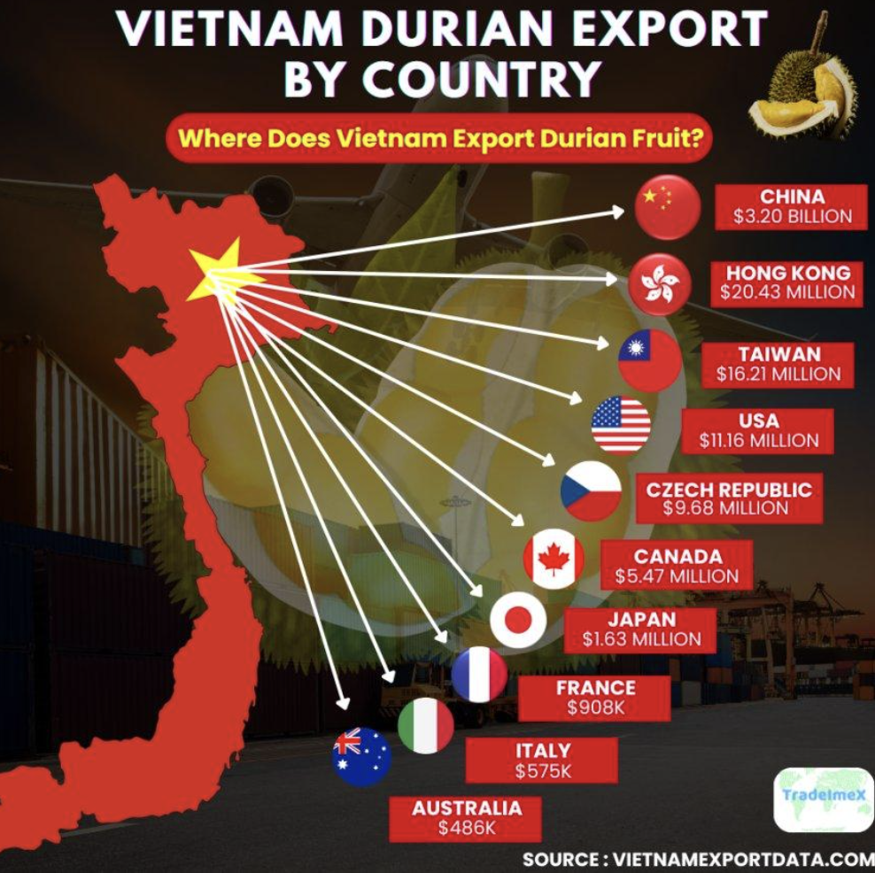 Chart showing Vietnam durian export by country with China as the largest market