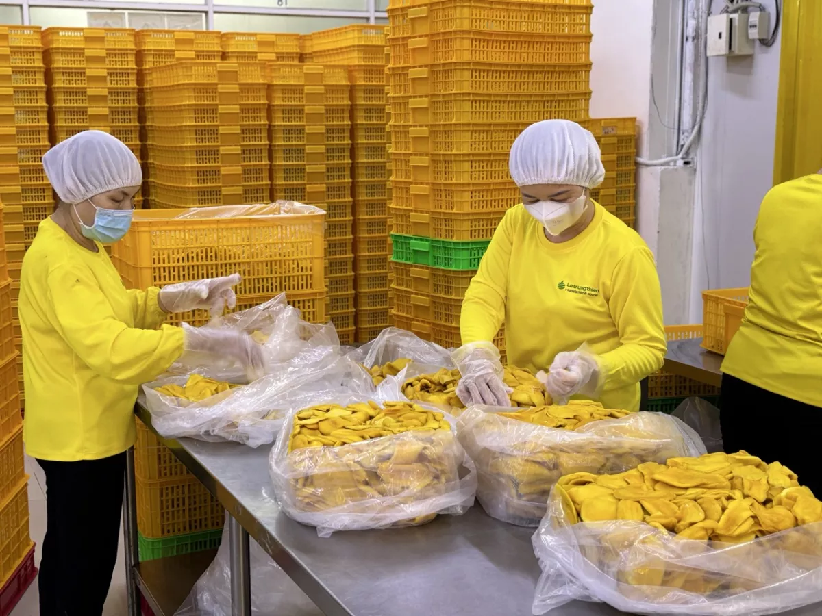 Workers at Nong Lam Food factory carefully packing premium low-sugar dried fruits suitable for weight loss