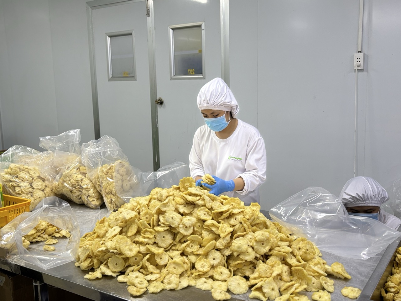A modern heat pump drying facility showing how premium dried fruits are made