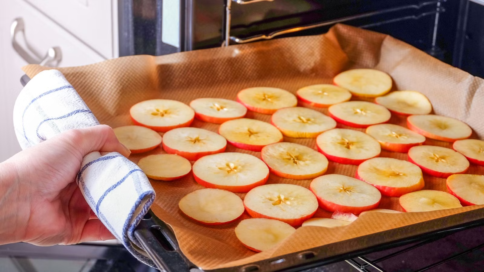 A modern heat pump drying facility representing the ultimate goal of fruit preservation