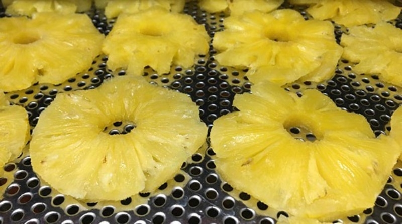 A modern heat pump drying facility showing how premium dried fruits are made at a professional scale