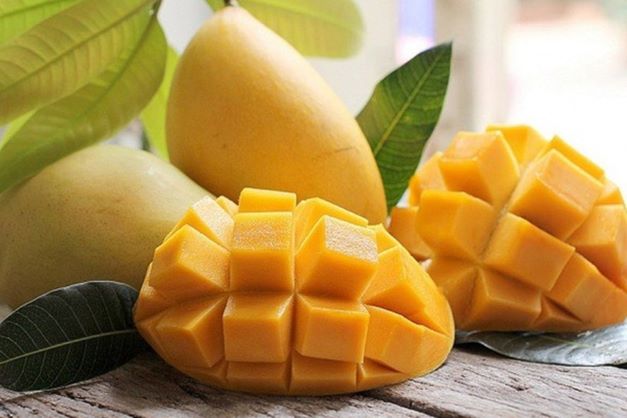 A modern facility highlighting processing infrastructure for premium mango export