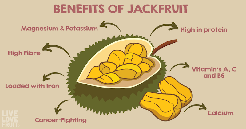 A modern heat pump drying facility preserving the nutritional integrity of jackfruit
