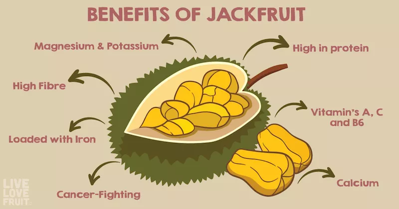 A modern heat pump drying facility preserving the nutritional integrity of jackfruit