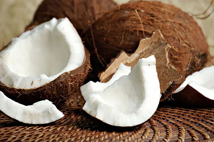 Premium mature coconut flesh ready for processing into crispy coconut chips