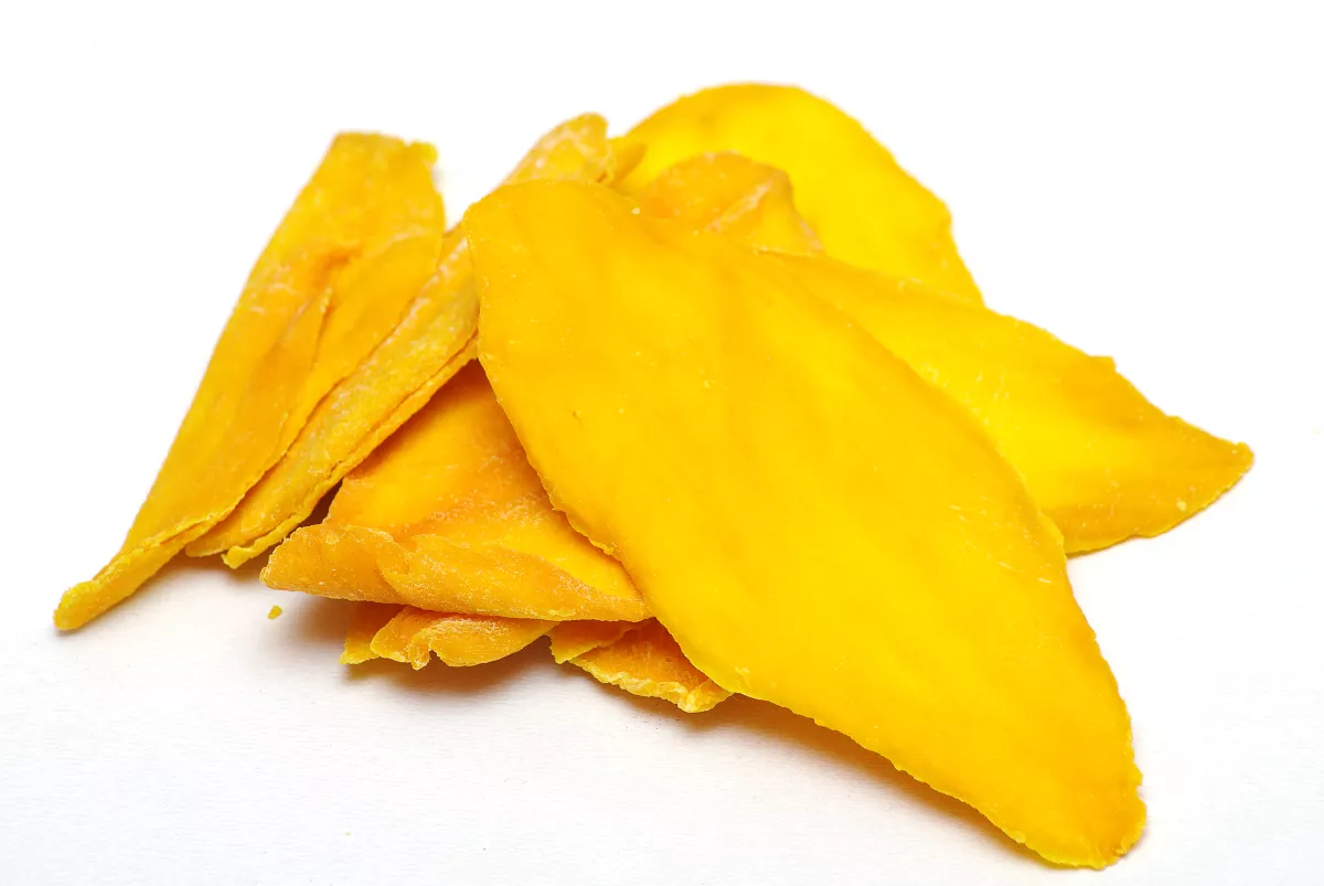 A modern heat pump drying facility showing how premium dried fruits are made and preserved