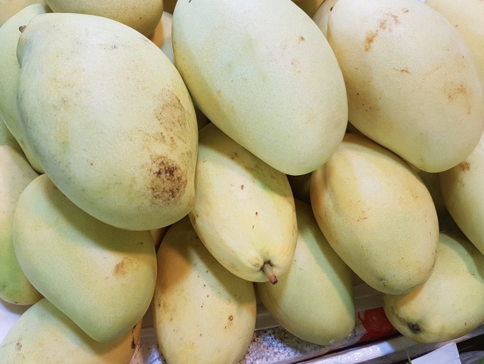 A basket containing Cat Chu mangoes, the preferred variety for premium dried mango processing