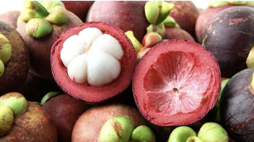 Close-up of a mangosteen cut in half showing the bright white fleshy segments inside the thick purple rind