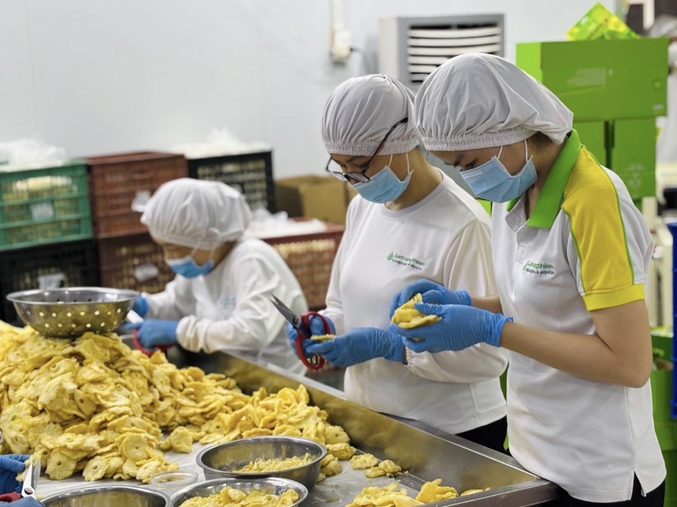 Workers in a clean factory environment processing fresh tropical fruits for high-quality drying