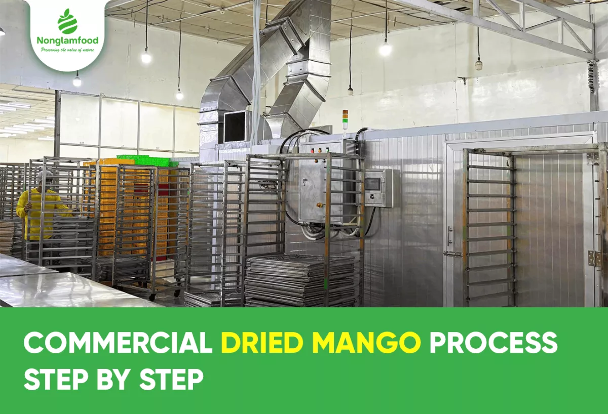 Commercial Dried Mango Process Step by Step