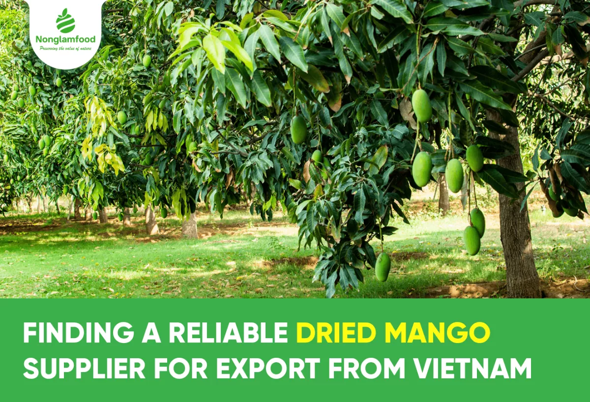 Finding a Reliable Dried Mango Supplier for Export from Vietnam
