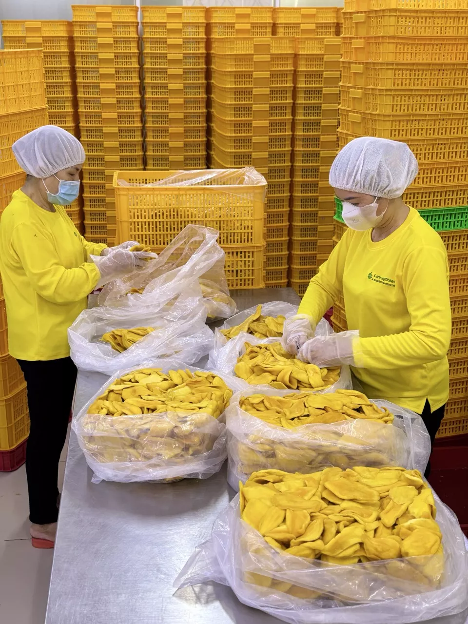 Nonglamfood workers packaging dried mango