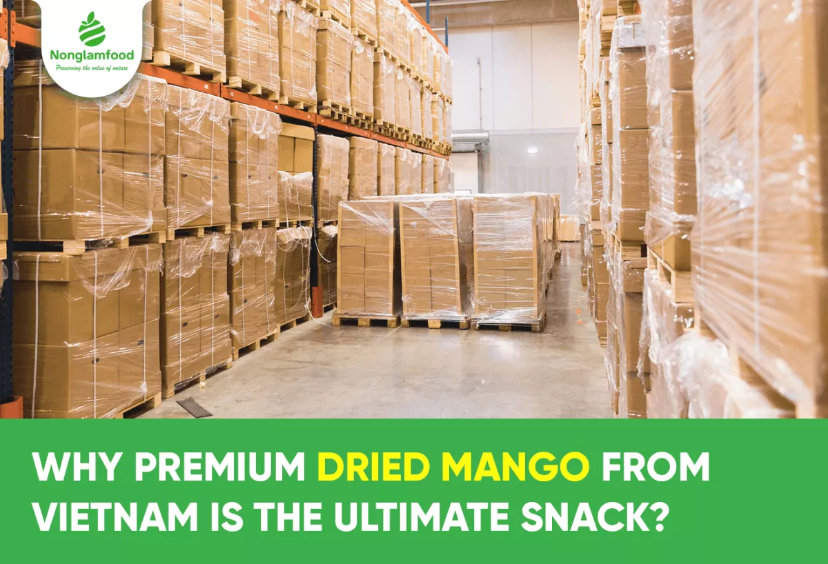 Why Premium Dried Mango from Vietnam is the Ultimate Snack?